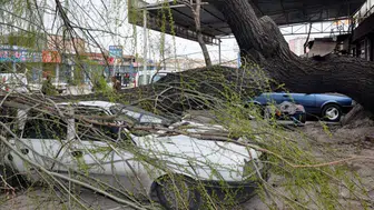 Osmaniye'de fırtına etkisini gösterdi : Devrilen ağaç otomobilin üzerine düştü