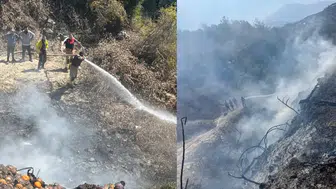 Hatay Samandağ'da yangın : Bahçenin büyük bölümü zarar gördü