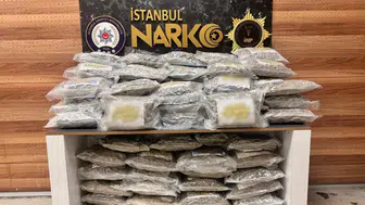 İstanbul Tuzla'da 51 kilo skunk ele geçirildi