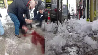 Erzurum’da çatıdan düşen kar ve buz kütlesi bir kişiyi ağır yaraladı