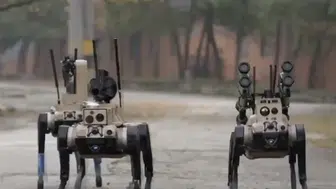Çin ordusundan savaş meydanında yeni dönem : Akıllı 'kurt sürüleri' robotlar tanıtıldı