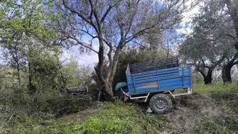 Hatay'da feci kaza : Zeytin bahçesine uçan patpatın sürücüsü hayatını kaybetti