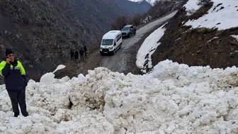 Van Çıtak'ta çığ düştü : Mahalle ve mezra yolları kapandı