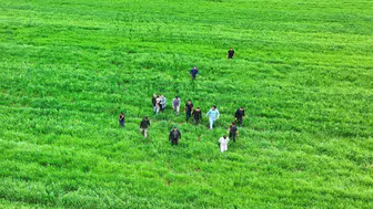 Diyarbakır'da kaybolan 3 yaşındaki Yazgül tarlada uyurken bulundu