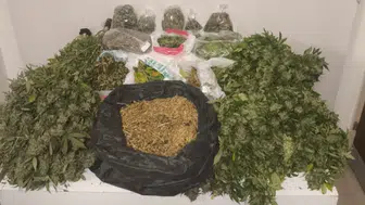 Pendik'te uyuşturucu operasyonu : 10 kilo marihuana ele geçirildi