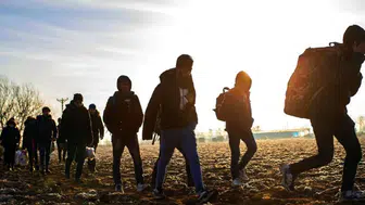 Edirne ve Kırklareli'de göçmen operasyonu : 8 kişi yakalandı