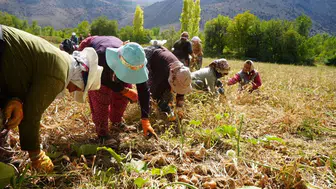 Çiftçilere müjde ! Tarım yatırımlarına %70 hibe desteği geliyor
