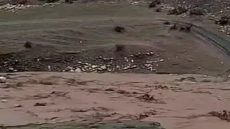 Siirt'te sağanak yağış besicilere zor anlar yaşattı