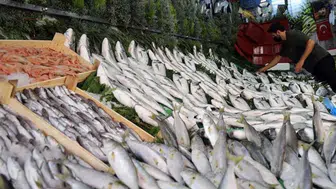 Balık fiyatları neden hızla artacak? Uzmanlardan stoklama uyarısı