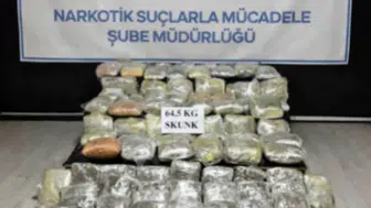 Hakkari'de uyuşturucu operasyonu : 64,5 kilogram skunk ele geçirildi