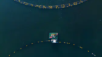 İzmit'te 'Dip Çamuru Projesi' : Su sirkülasyonu yeniden sağladı