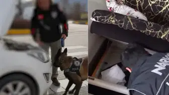 Isparta'da uyuşturucu operasyonu : 4 şüpheli tutuklandı