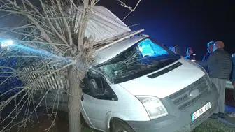 Adıyaman'da kamyonet ağaca çarptı : Sürücü yaralandı