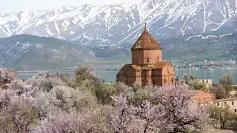 Akdamar Badem Çiçeği Festivali Neden İptal Edildi ve Gelecekte Ne Zaman Yapılacak?