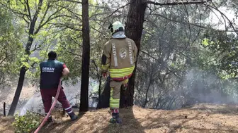 Hatay İskenderun'da yangın : Ekipler kontrol altına aldı