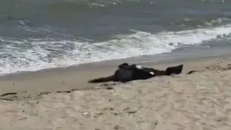 Karaburun Sahili'nde bulunan cesedin kimliği 40 gün sonra belli oldu