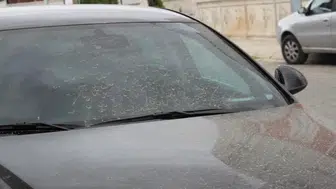 Meteoroloji uyardı : Aydın'da toz taşınımı bekleniyor
