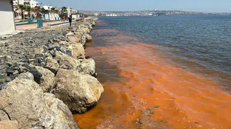 Tekirdağ sahilinde renk değişimi : Su yüzeyi turuncu oldu