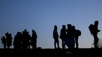 Edirne'de göçmen operasyonu : 21 düzensiz göçmen yakalandı