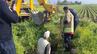 Antakya’da kuyuya düşen büyükbaş hayvan kurtarıldı