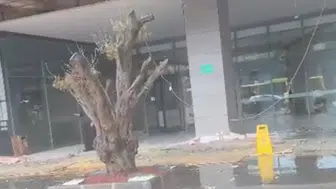 Batman'da sağanak yağış nedeniyle AVM girişinde tavan çöktü