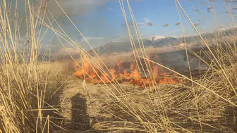 Van Muradiye'de sazlık alanda yangın çıktı