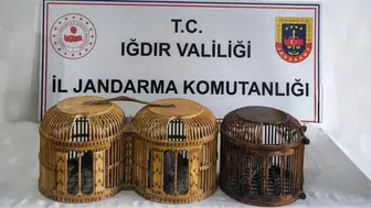 Iğdır'da kaçak keklik avı : 72 bin TL para cezası