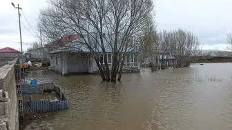 Ağrı'da sağanak etkisi : Evler ve tarım arazileri su altında