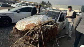 Şanlıurfa'da otomobil tarlaya uçtu : Sürücü hayatını kaybetti