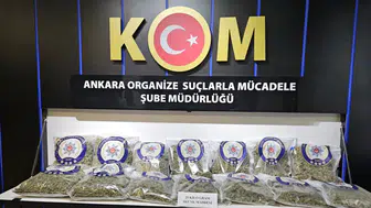 Ankara'da uyuşturucu operasyonu : 25 kilogram skunk ele geçirildi