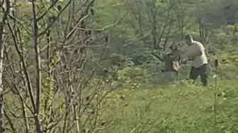 Avcılar'da köpeğe kötü muamelede bulunan şüpheli yakalandı : Adliyeye sevk edildi