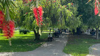 Adana'da sıcaklık artışı : Araç termometreleri 41 dereceyi kaydetti