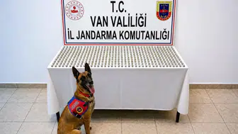 Van'da uyuşturucu operasyonu : 8 şüphelinin midesinden 3 kiloyu aşkın esrar çıktı
