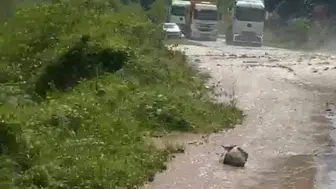 Trabzon-Bayburt karayolunda sel felaketi : Ulaşım çift taraflı durduruldu
