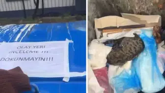 İzmir Buca’da hasta bezlerine sarılı 33 kedi telef oldu