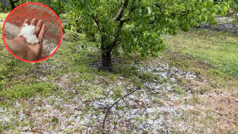 Isparta'da dolu yağışı hayatı felç etti : Meyve bahçelerinde hasar oluştu