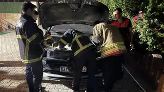 Antakya'da otomobilin motoruna sıkışan kediyi itfaiye kurtardı