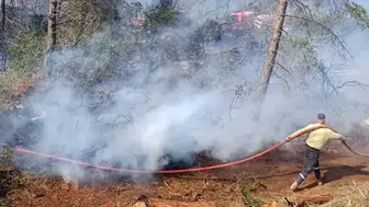 Hatay'da orman yangını