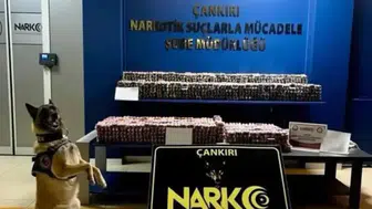 Çankırı'da piyasa değeri 9 milyon lira olan 85 bin uyuşturucu hap ele geçirildi