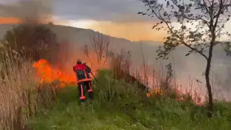 Elazığ'da otluk alanda yangın çıktı