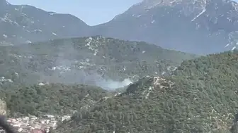 Muğla Fethiye'de ormanlık alanda yangın