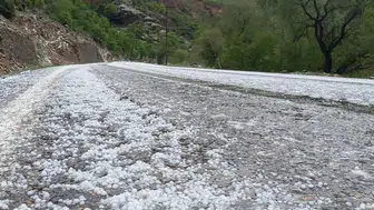 Erzincan Çayırlı'da dolu yağışı etkili oldu