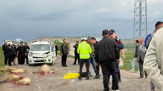 Sivas'ta araç sürüye daldı : Çoban öldü, 9 koyun telef oldu