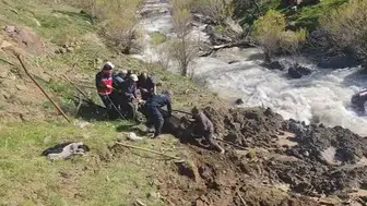 Hakkari'de bataklığa saplanan inek kurtarıldı