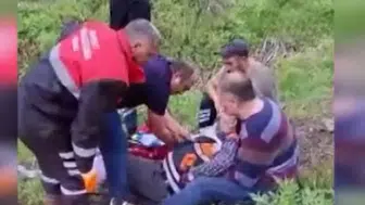 Sivas'ta mantar toplarken ayı saldırısına uğradı : Ayıyla boğuşan vatandaşın parmağı koptu