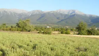 Hatay'da yaşlı kadın kekik toplarken uçurumdan yuvarlandı