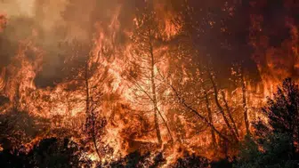 İtalya'da 800 hektarlık alanda orman yangını : 3 bin kişi tahliye edildi