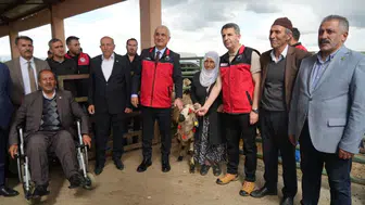 Muş'ta kadın üreticilere 3 bin küçükbaş hayvan desteği : Yüzde 70 hibeli proje başladı