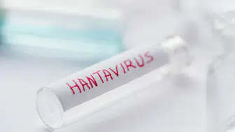 Avrupa’da Hantavirüs alarmı
