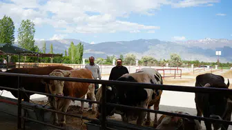 Erzincan'da hayvan pazarlarında hareketlilik